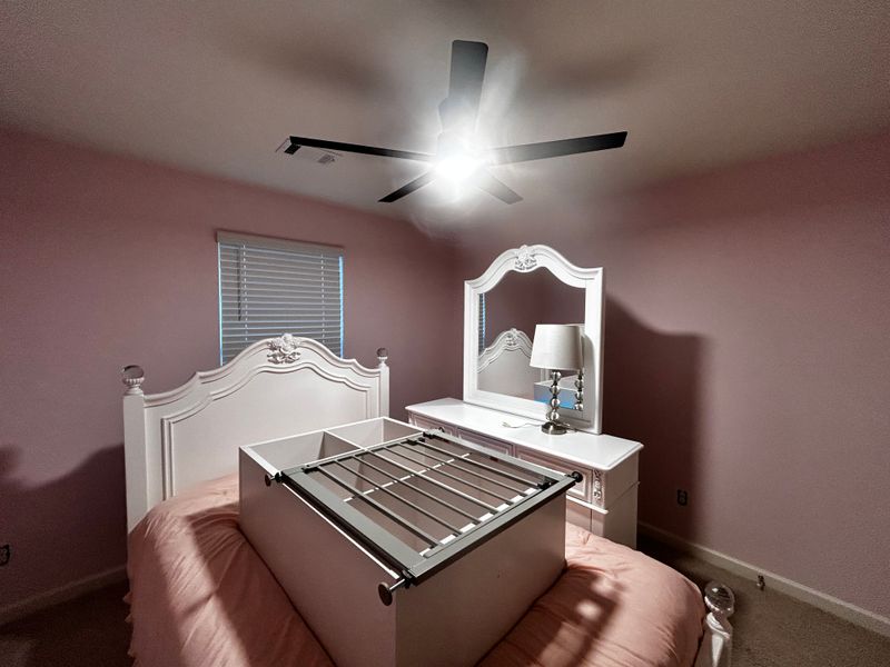 Painting Services