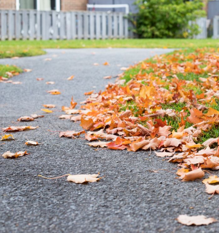 Fall and Spring Clean Up