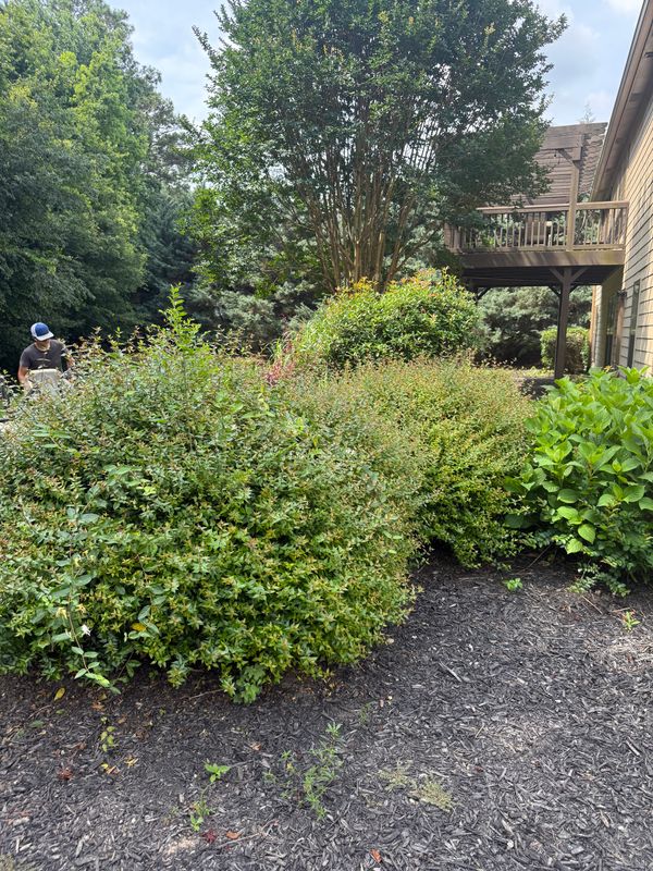 Lawn Maintenance