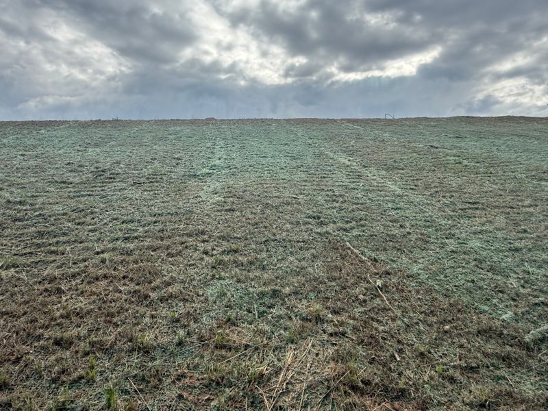 Hydroseeding gallery