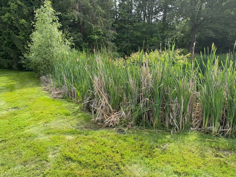 Ponds