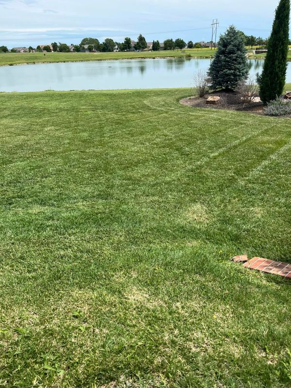 Lawn Maintenance