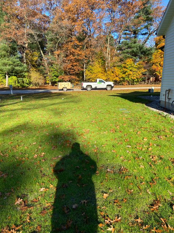 Autumn Elegance: A Greenscape Transformation