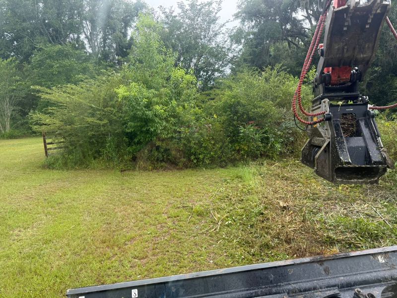 Land Clearing
