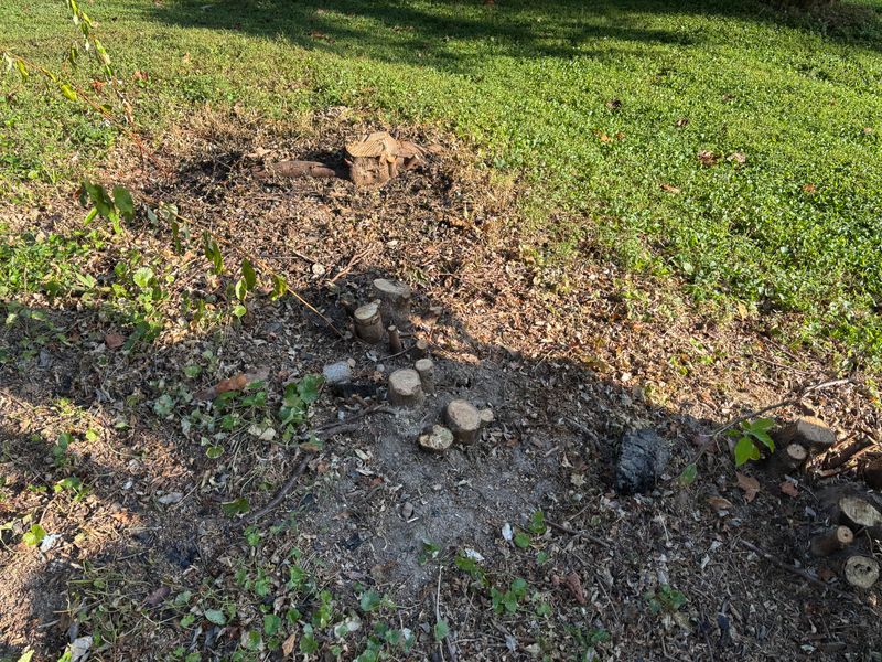 Stump Removal
