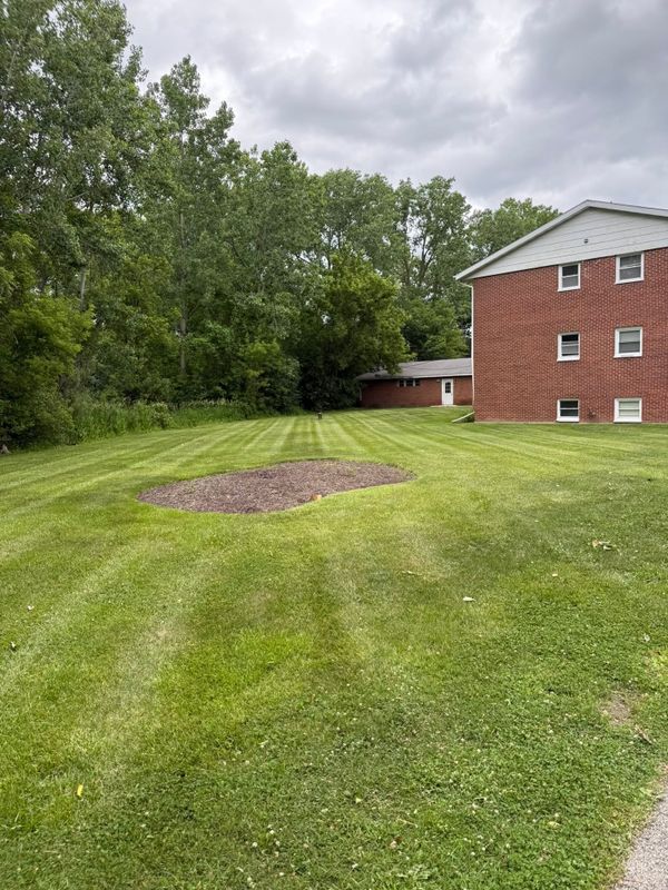 Lawn Maintenance