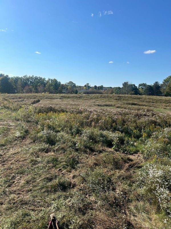 Brush Hogging Projects in West Michigan