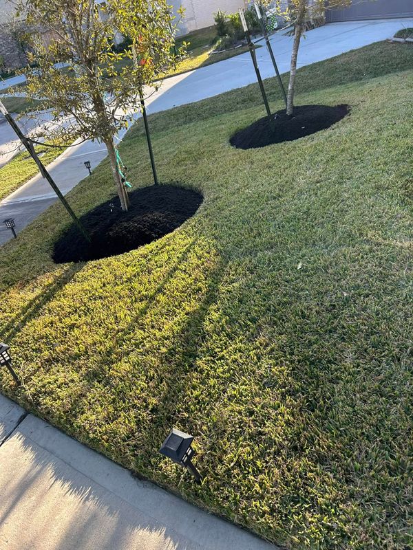 Mulch Installation