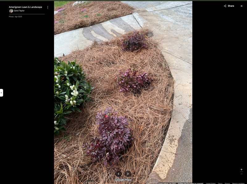 Vibrant Transformations: A Landscaping Masterpiece by Amerigreen