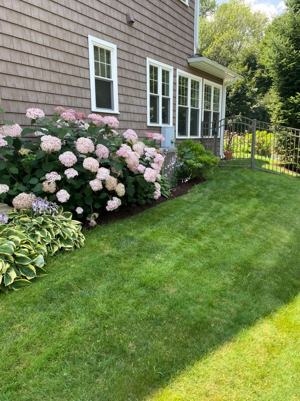 Mulching