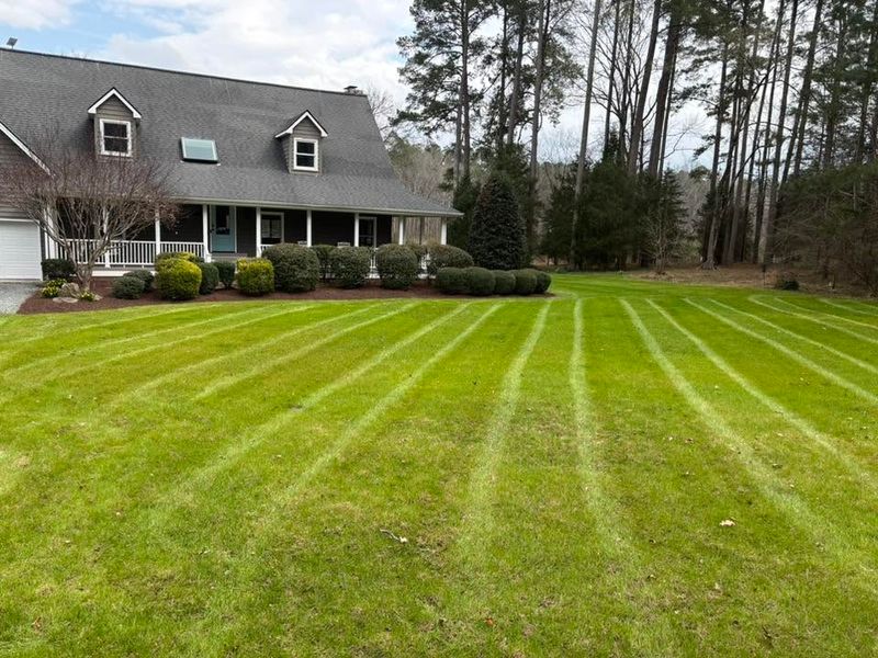 Lawn Mowing