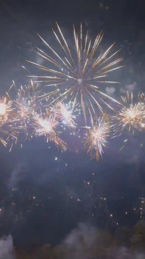 Why choose us for your fireworks display?