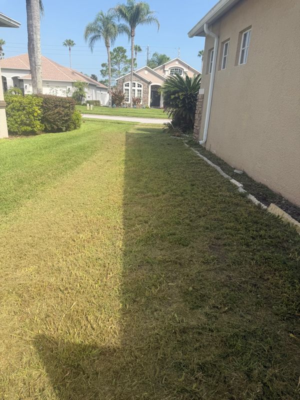 Lawn Maintenance