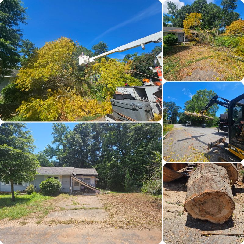 Debris Removal