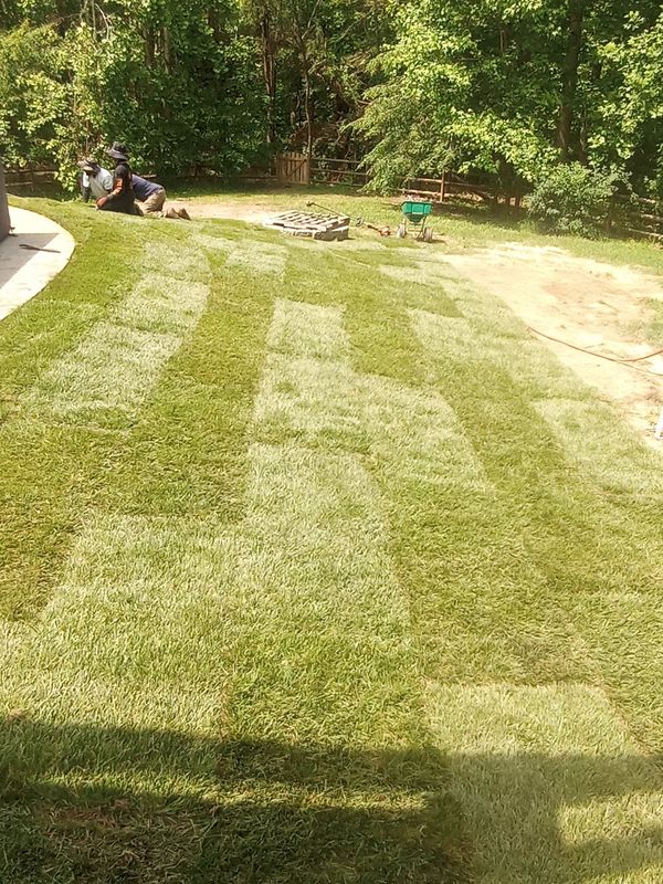 Grass Up