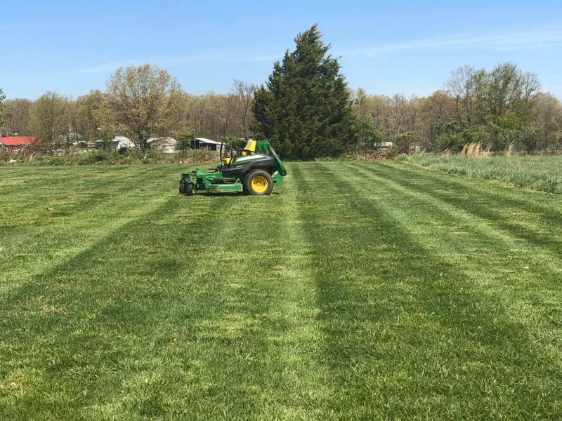 Lawn Maintenance gallery