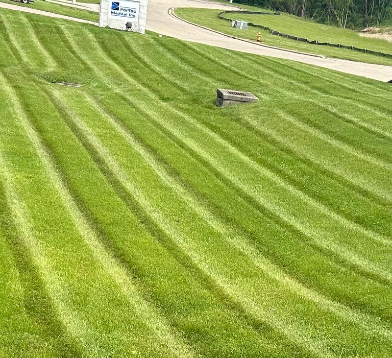 Commercial Lawn Care & Landscaping
