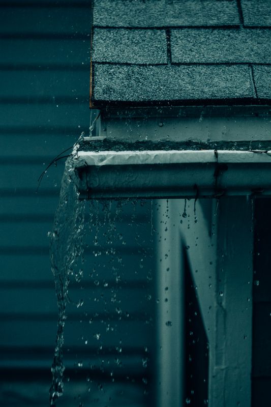 Roof and Gutter Cleaning