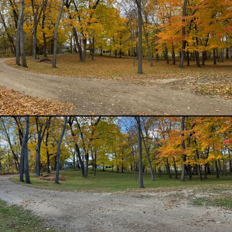 Fall Cleanup