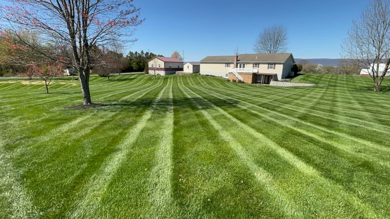 Lawn Mowing