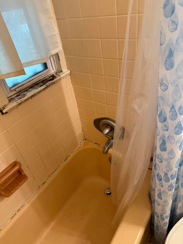 Bathroom Renovations