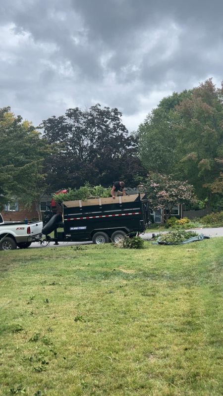 Debris Removal
