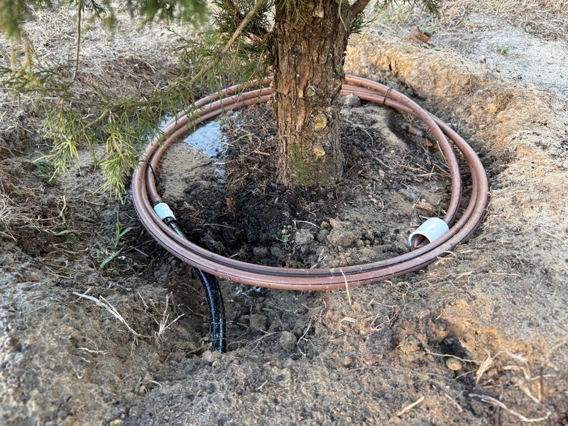 Drip Irrigation Installation and Maintenance