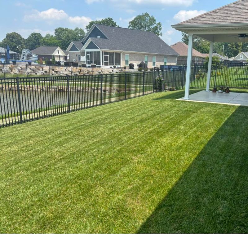 Landscaping 