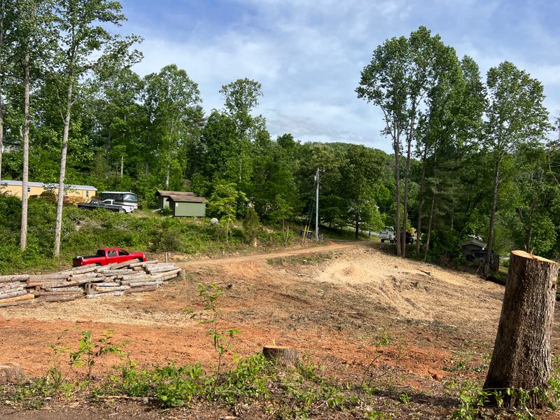Lot Clearing