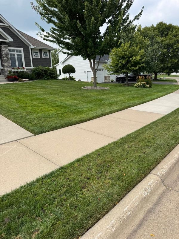 Lawn Aeration gallery