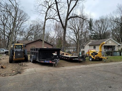 Tree Removal