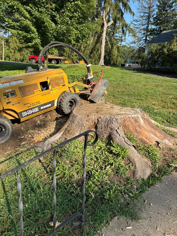 Stump Removal