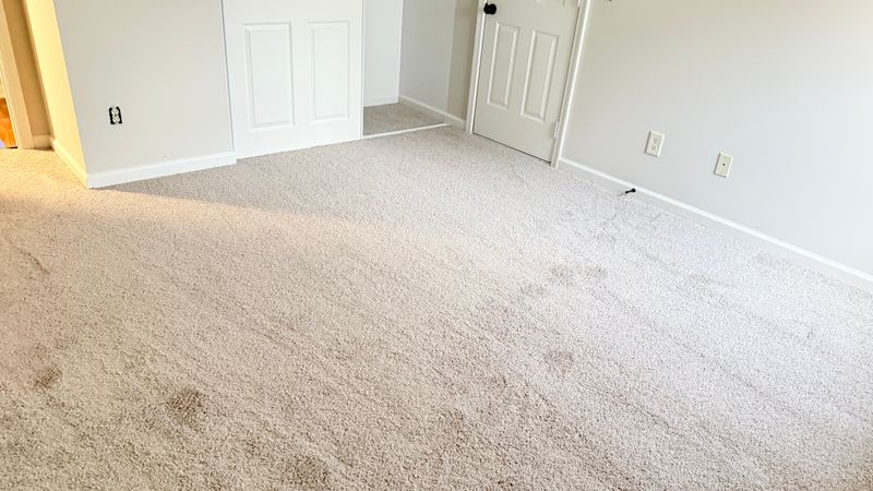 Carpet Installation and Repair