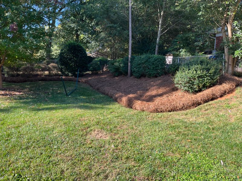Pine Needle Installation