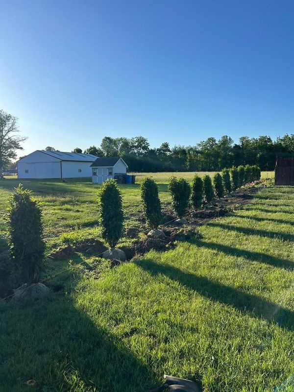 Tree and Shrub Planting