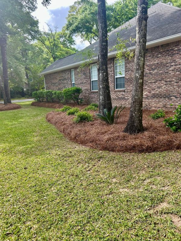 Landscape Bed Maintenance
