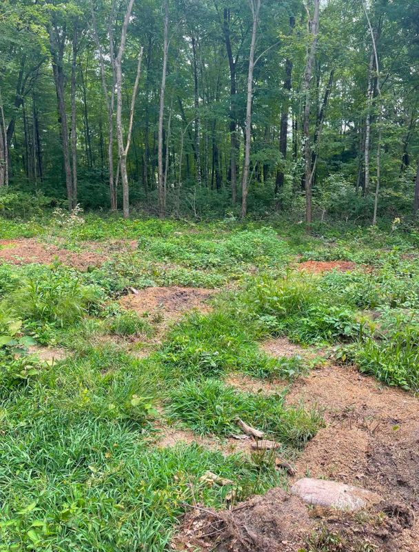 Land Clearing & Forestry Mulching