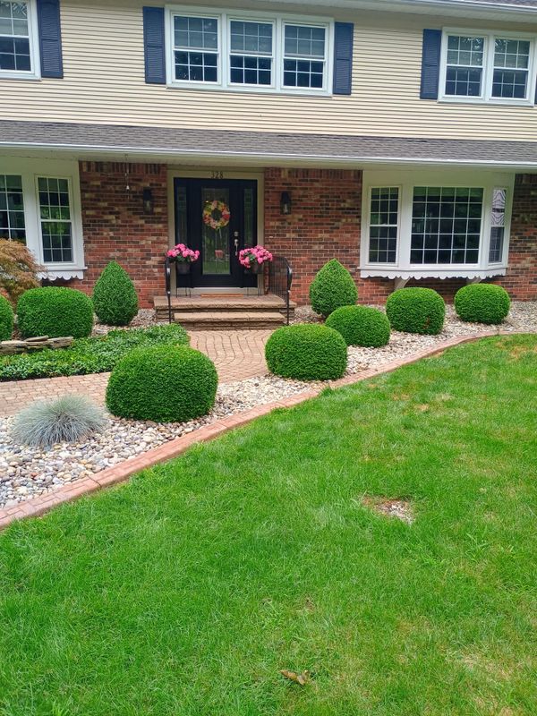 Lawn Care and Maintenance