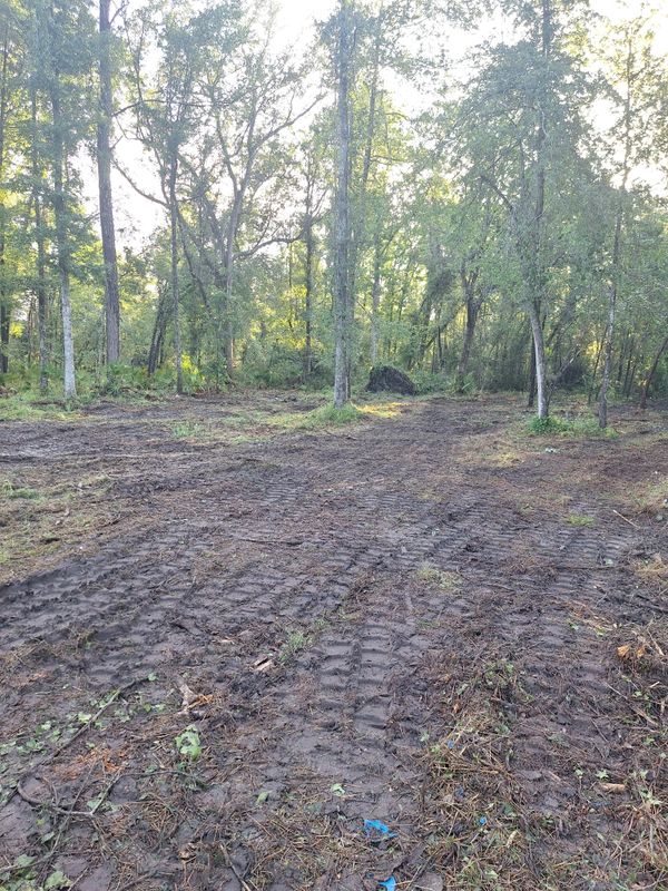 Land Clearing