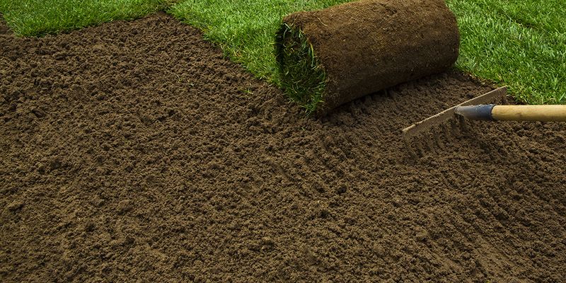 Sod Installation