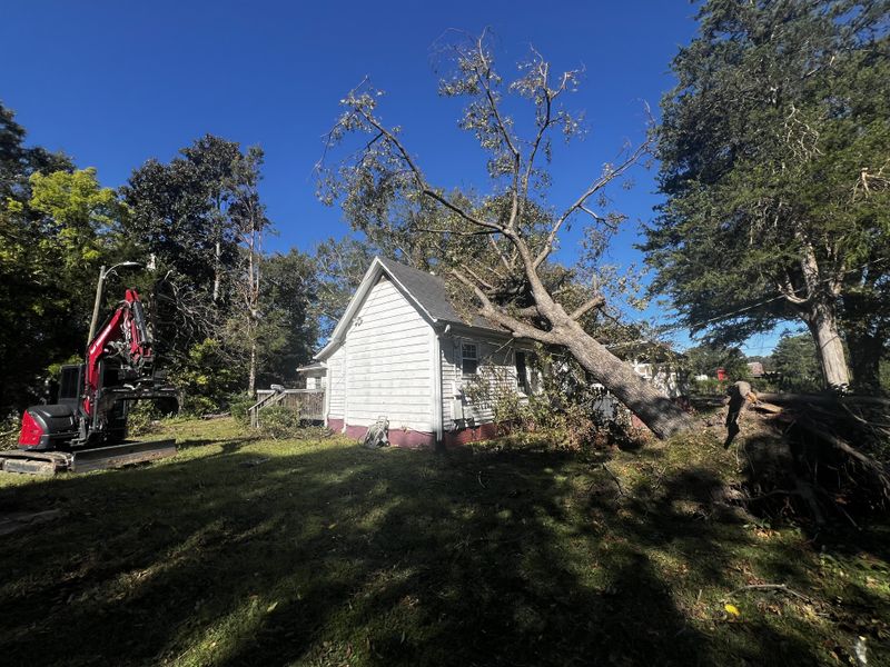 Storm & Disaster Response