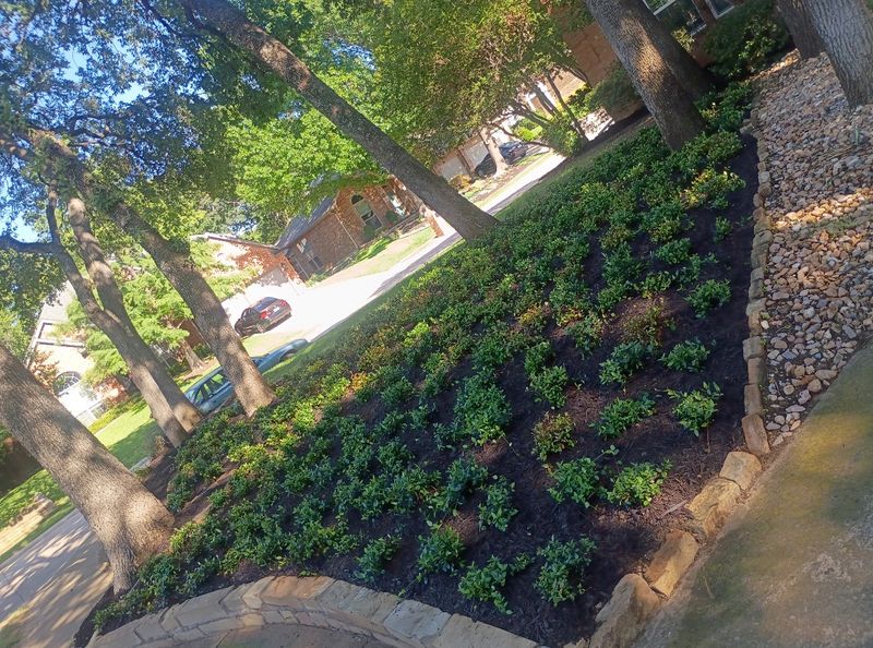 Landscape Projects