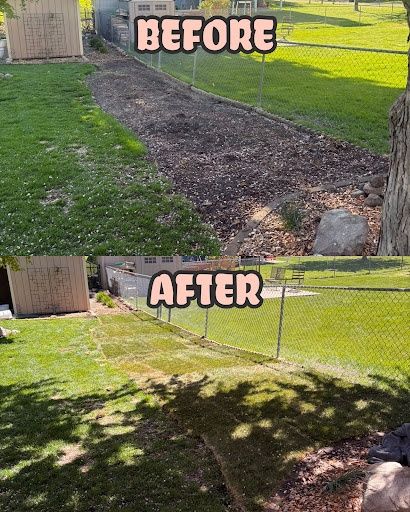 Sod Installation