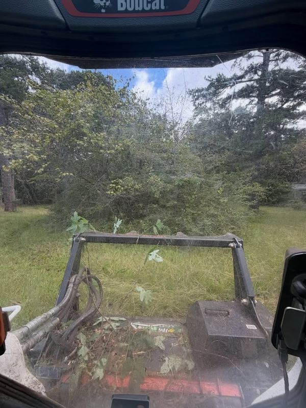 Land Clearing
