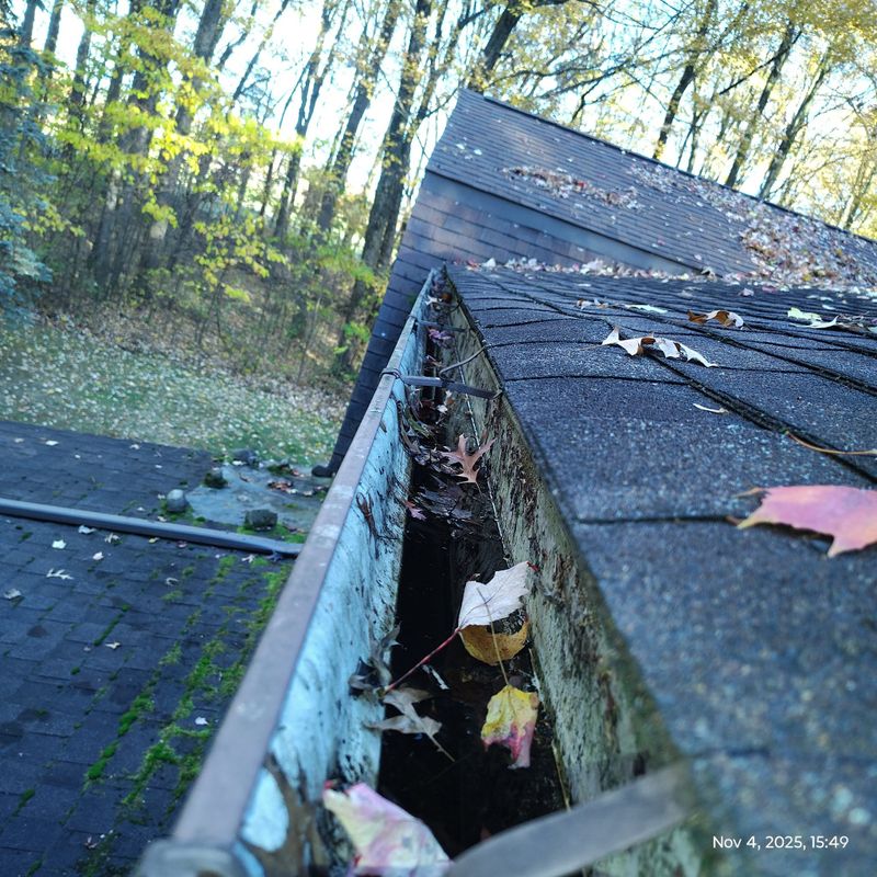 Gutter Cleaning