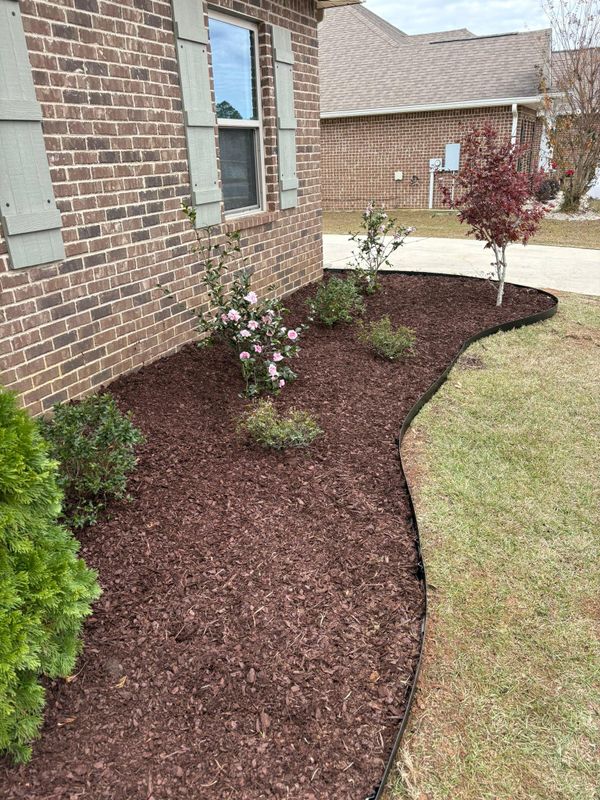 Landscape Design & Planting