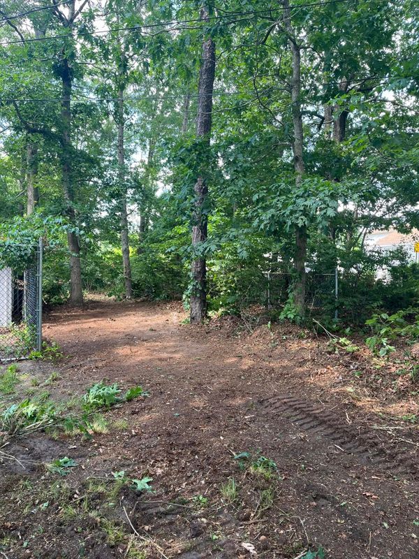 Forestry Mulching