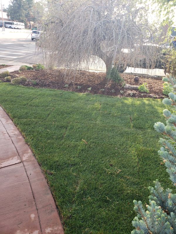 Mulch Installation
