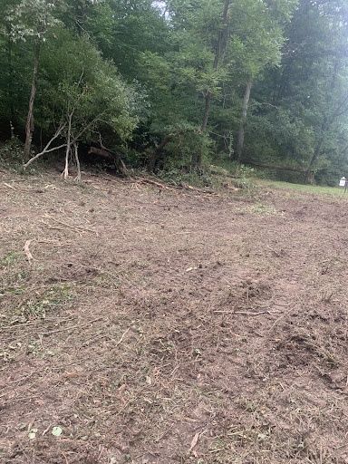 Land Clearing