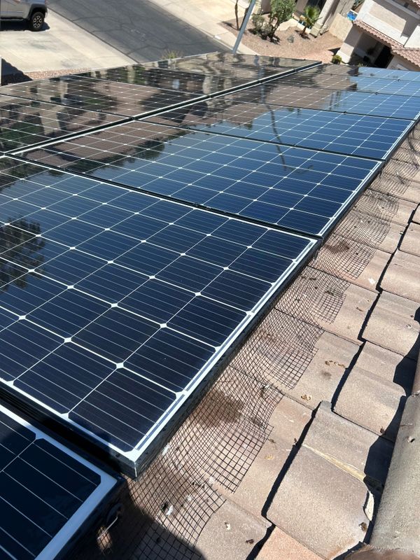 Bird Proofing